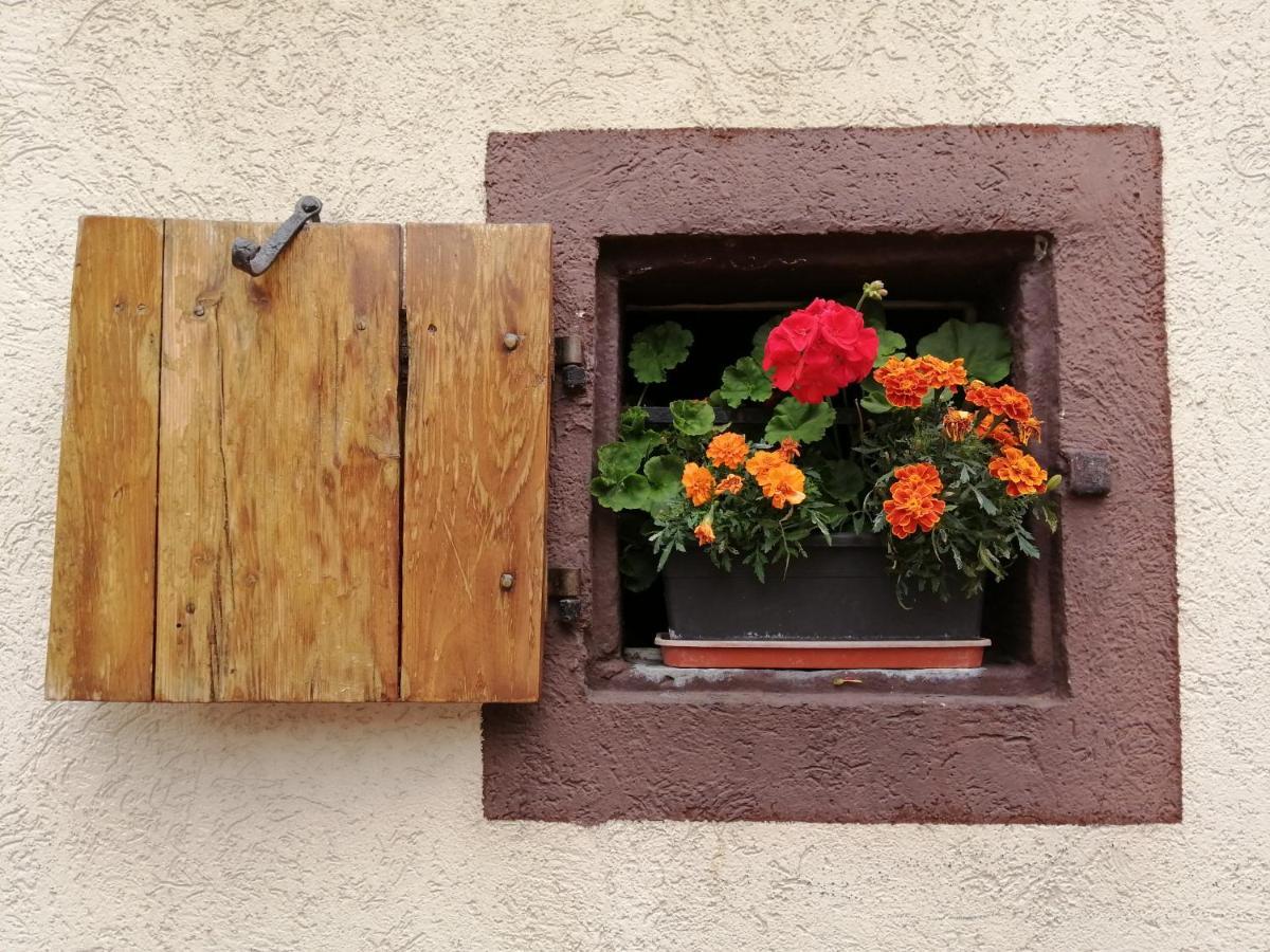 Gite Le Patio Kaysersberg-Vignoble Buitenkant foto